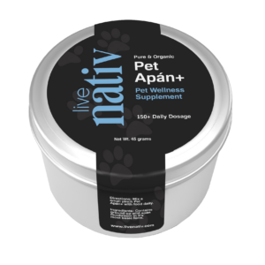 Pet Apán natural immune support supplement for dogs and cats by LiveNativ