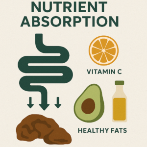Bioavailability 101: How to Maximize Nutrient Absorption Naturally